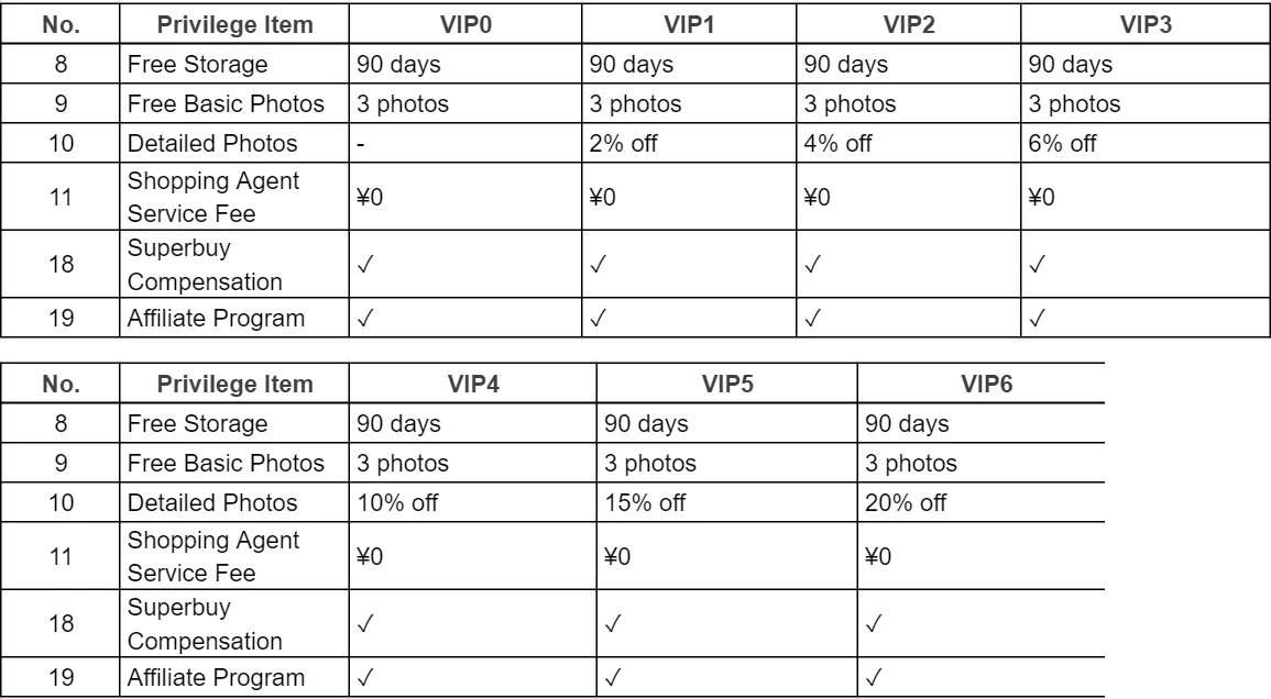 Lower part of the official VIP benefits table, where item numbers run 8, 9, 10, 11 and then 18, 19